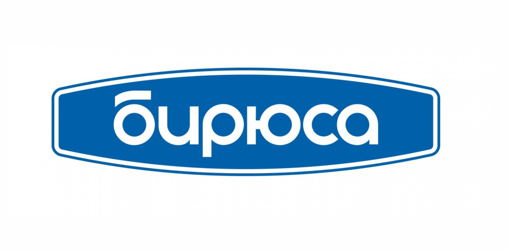 Бирюса